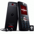 Motorola W388